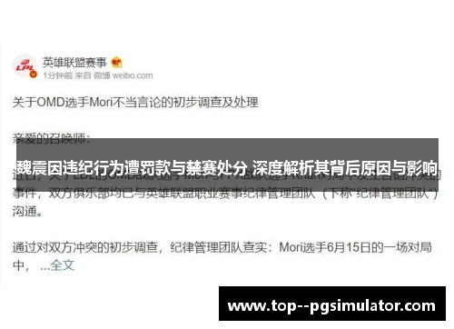 魏震因违纪行为遭罚款与禁赛处分 深度解析其背后原因与影响