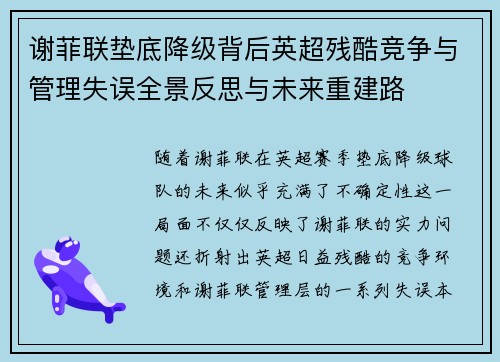 谢菲联垫底降级背后英超残酷竞争与管理失误全景反思与未来重建路 谢菲联垫底降级背后英超残酷竞争与管理失误全景反思与未来重建路